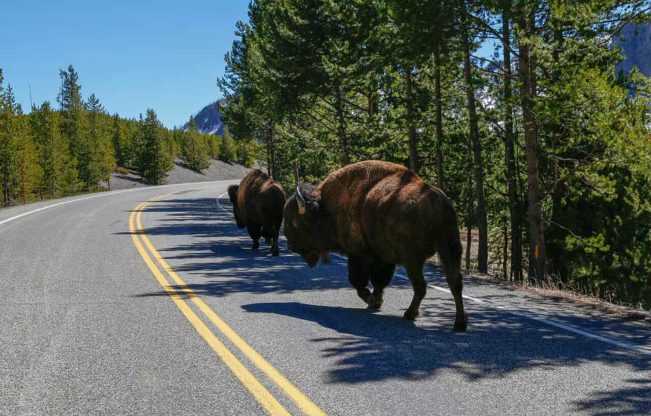 Yellowstone Park Hotel Уест Йелоустоун Екстериор снимка